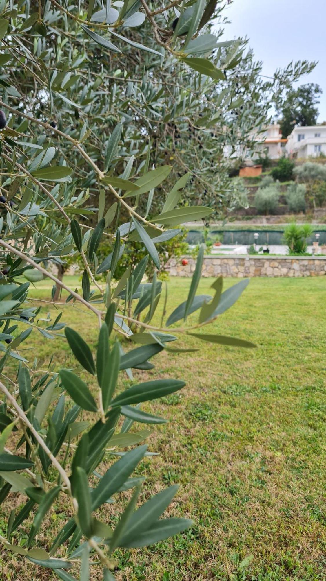 La Hacienda Hotel Ulcinj Exterior foto